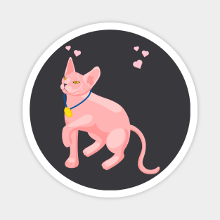 3d effect pink cat with medal Magnet